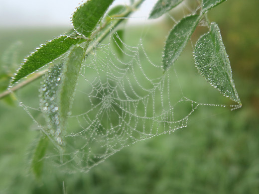 1755112 (a): :2048x1536